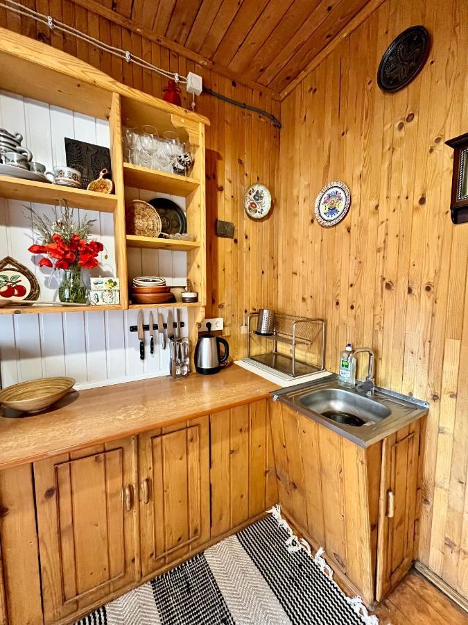 הוילה Korchin House Girska Rika מראה חיצוני תמונה